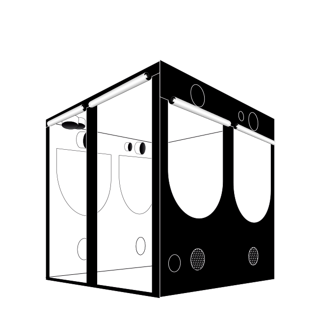 Homebox Evolution Q200