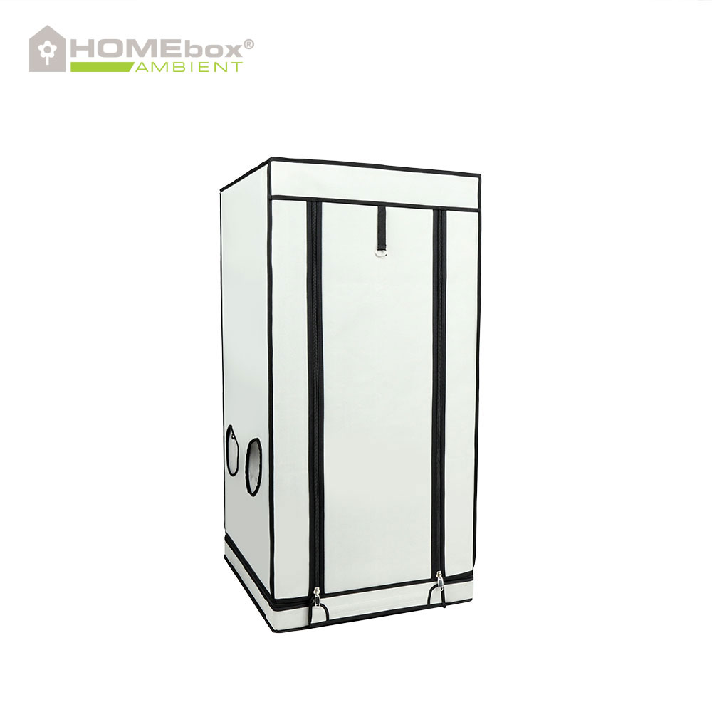  Homebox - Ambient Q60+