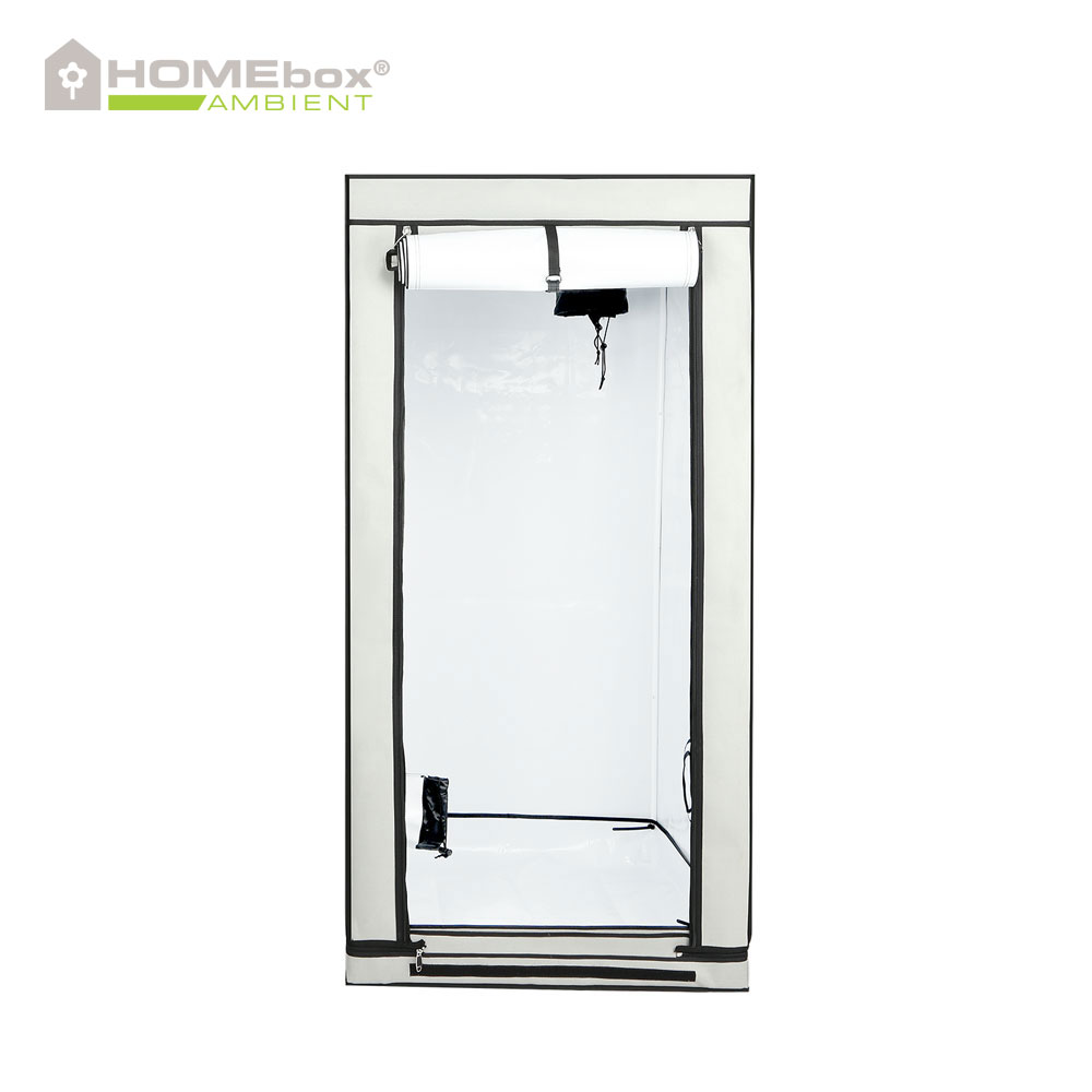 Homebox Ambient Q80