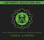 Labyrinth - The Selection.003