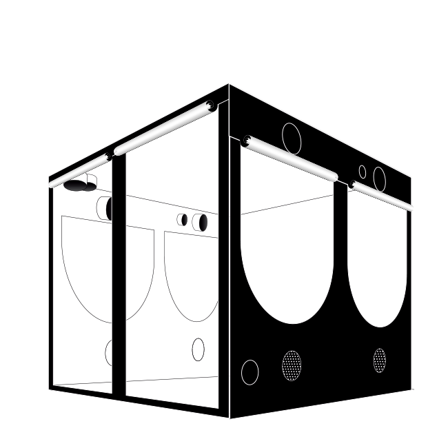 Homebox Evolution Q240