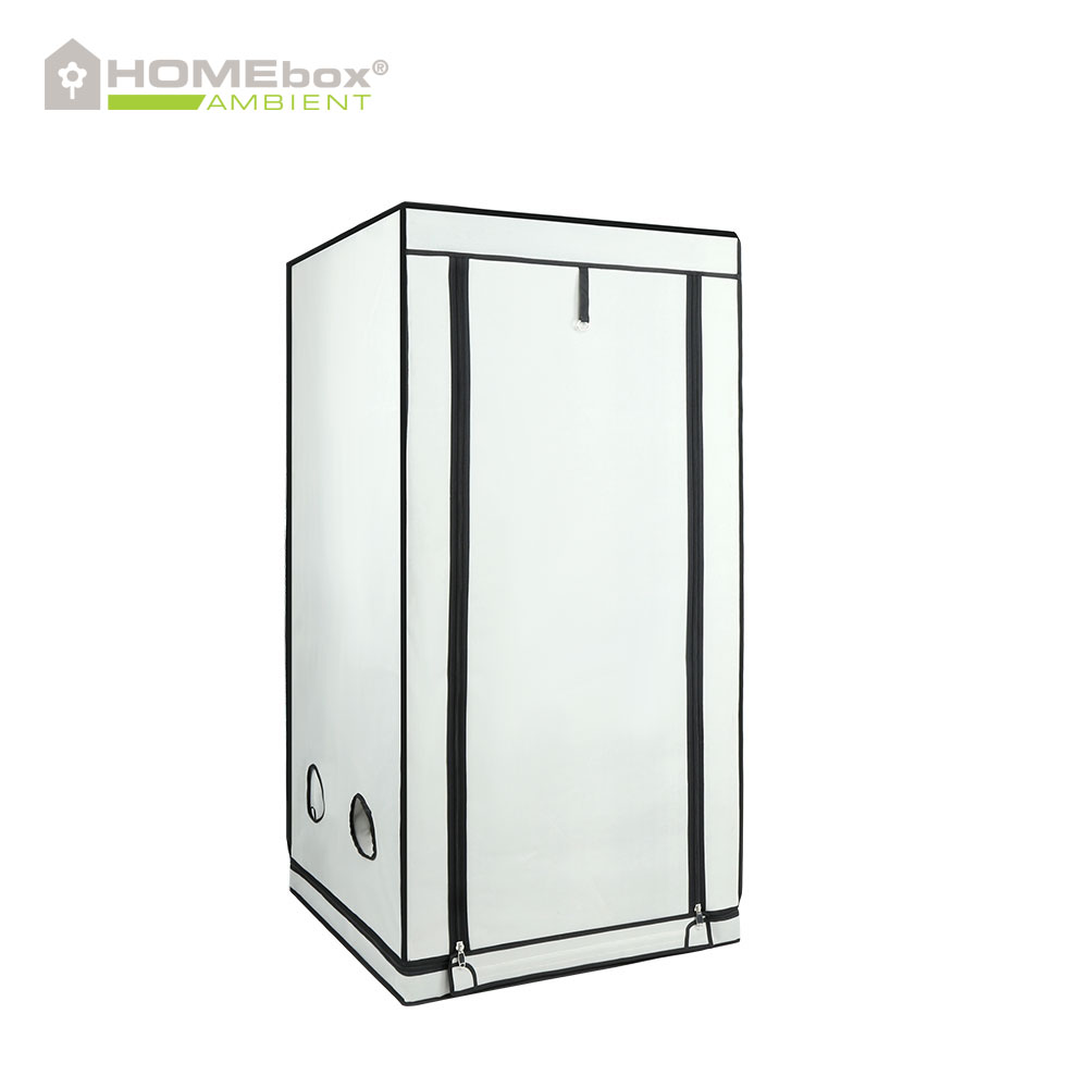 Homebox - Ambient Q80+