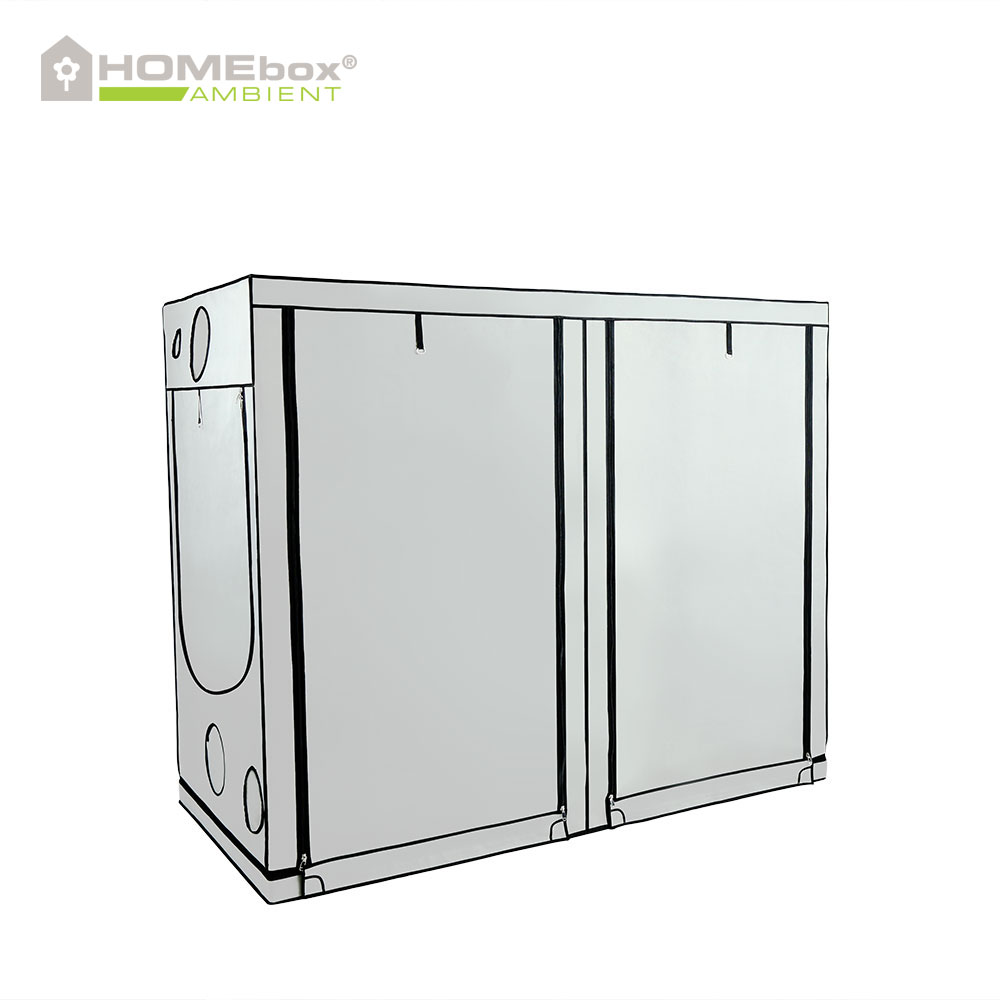 Homebox - Ambient R240