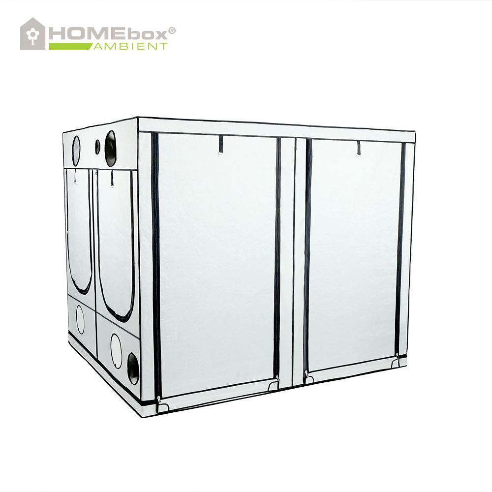 Homebox Ambient Q300