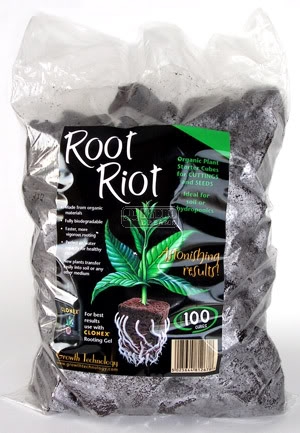 Root Riot - 100 Stk Nachf