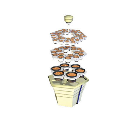 Terra Aquatica Rainforest 2 Hexpot 2''