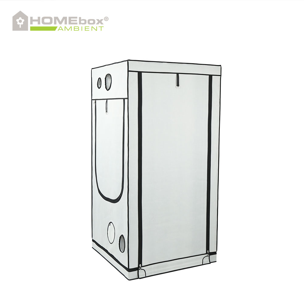 Homebox - Ambient Q100+