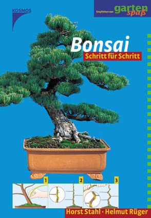 Bonsai - Schritt für Schritt