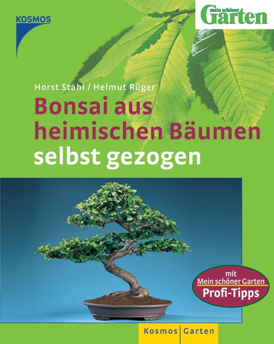 Bonsai aus heimischen Bäumen selbst gezogen